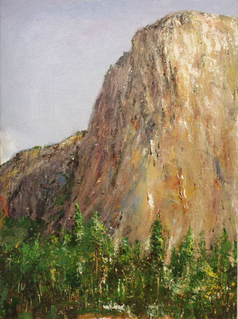 2011 usa yosemite 002